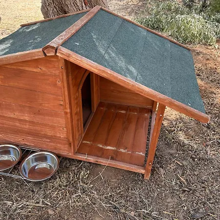 Ocean Waves - Alykes 드로시아